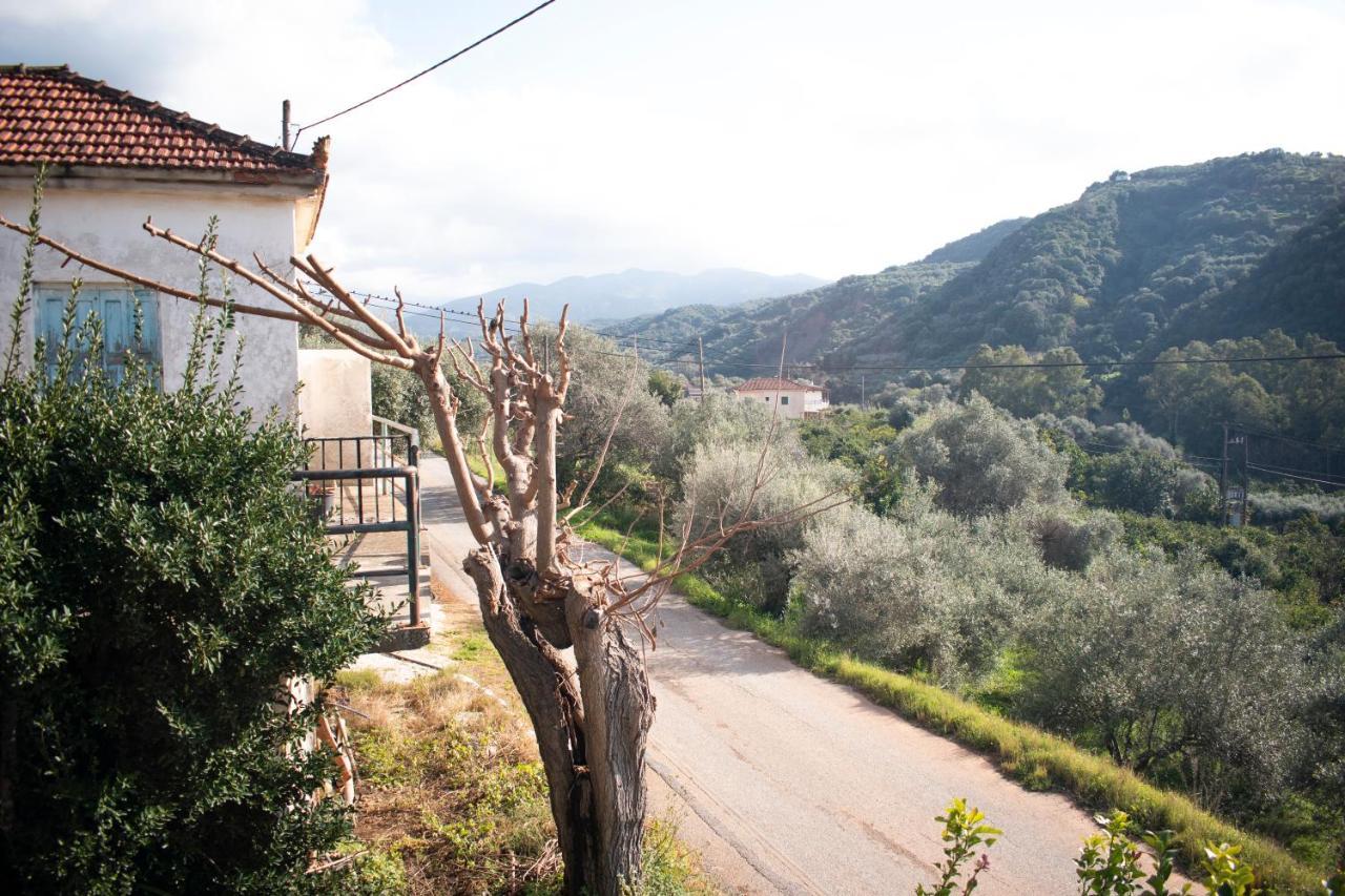 House Of Harmony Villa Kamisianá Dış mekan fotoğraf